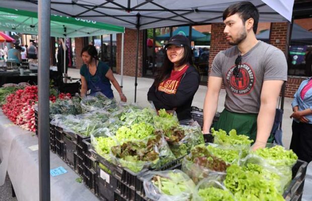2025 Downtown Farmers’ Market 2025 Downtown Farmers’ Market