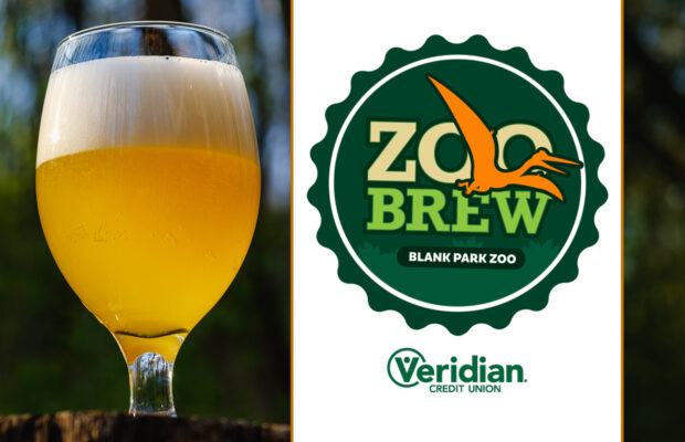 Zoo Brew 7/30